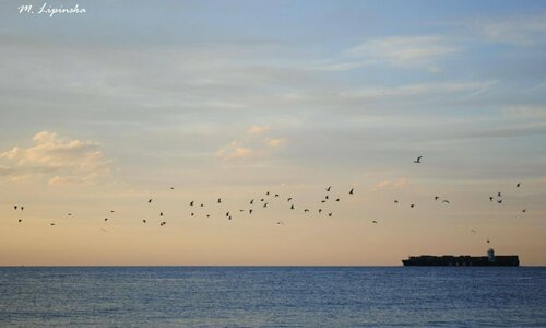 Krajobraz morza, w dali widać statek oraz lecące ptaki.