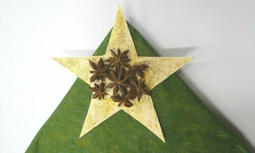 A gold star on a green background, with aniseed sticks attached to it.