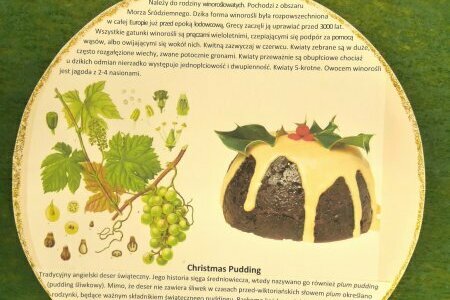 Plansza w kształcie bombki z informacjami o winoroślach i Christmas pudding, obok rysunek winorośli oraz deseru.