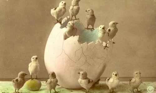 Easter card depicting chicks in a large egg.